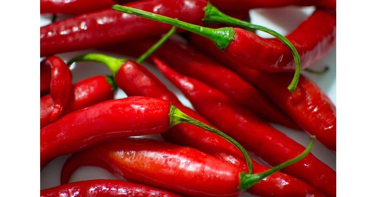 Red hot chili pepper: Latino Los Angeles
