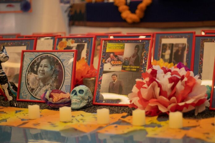 The story behind a palabra investigation into Latino COVID deaths