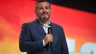 DNC drops six-figure ad buy urging Texas Latinos to vote out Ted Cruz